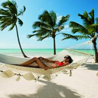 Отзыв от Альбина - DTV виза